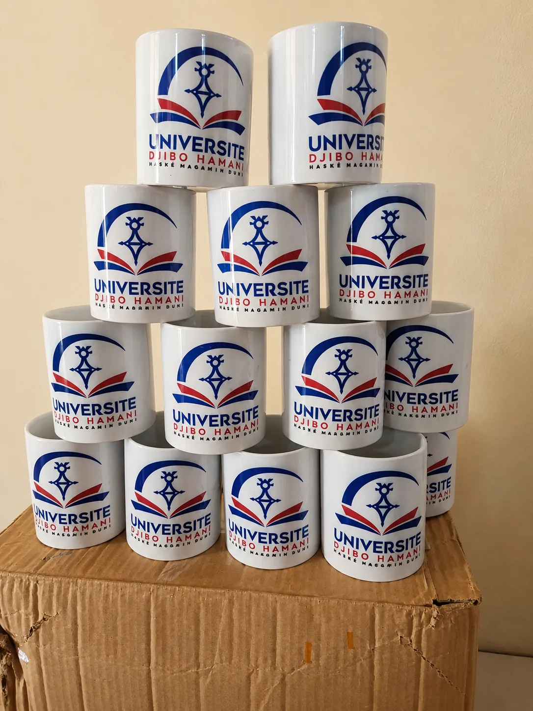 Mugs Université Djibo Hamani